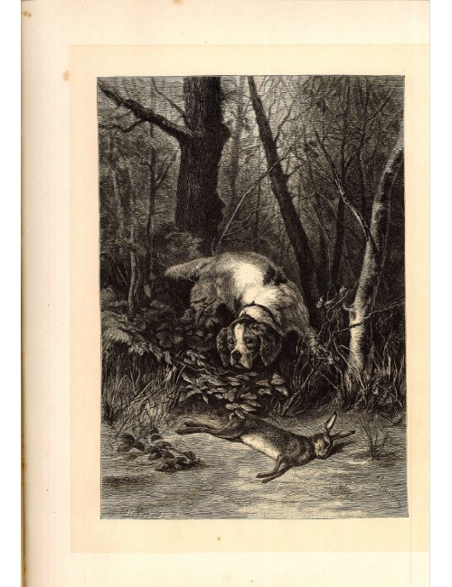 40 unframed book prints (hunting)