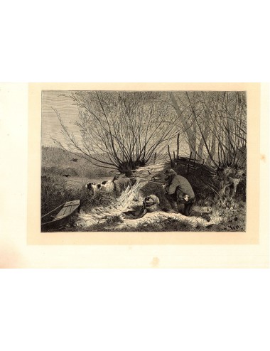 40 unframed book prints (hunting)