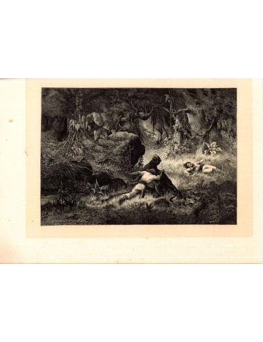 40 unframed book prints (hunting)