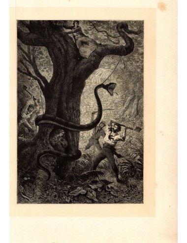 40 stampe di libri senza cornice (caccia)