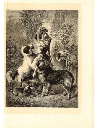 40 stampe di libri senza cornice (caccia)