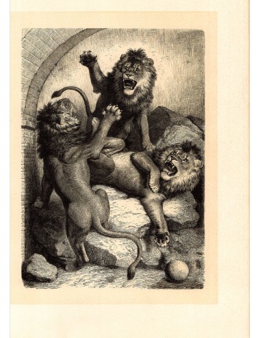 40 stampe di libri senza cornice (caccia)