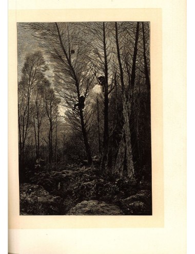 40 unframed book prints (hunting)