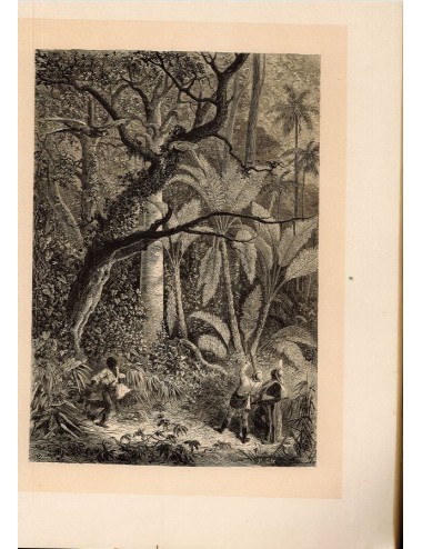 40 stampe di libri senza cornice (caccia)