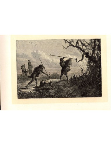 40 unframed book prints (hunting)