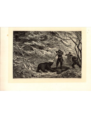 40 unframed book prints (hunting)