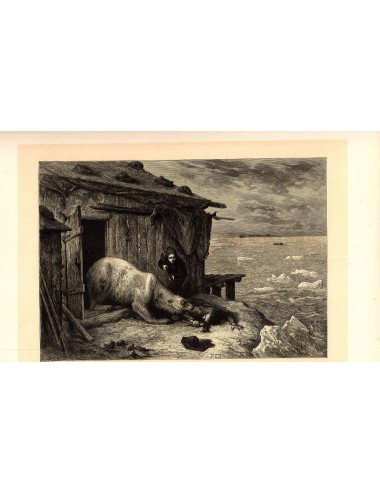 40 unframed book prints (hunting)