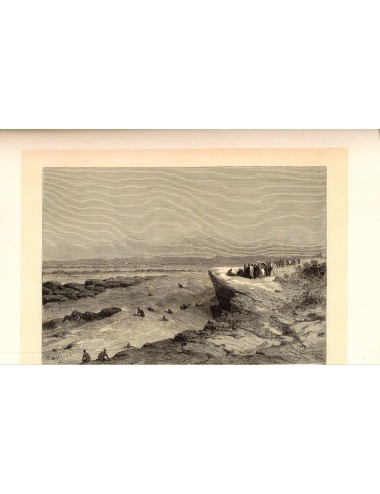 40 unframed book prints (hunting)