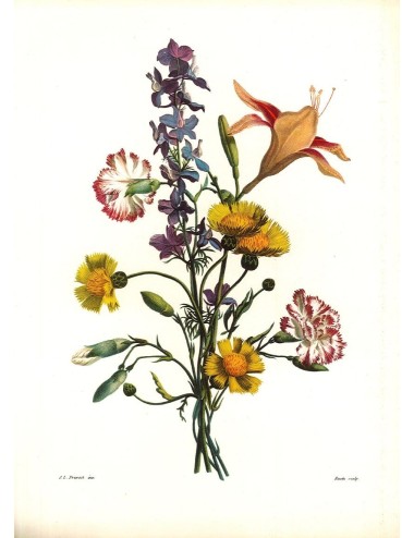 2 stampe - fiori -