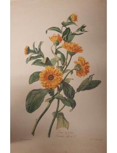Stampa di fiori gialli senza cornice