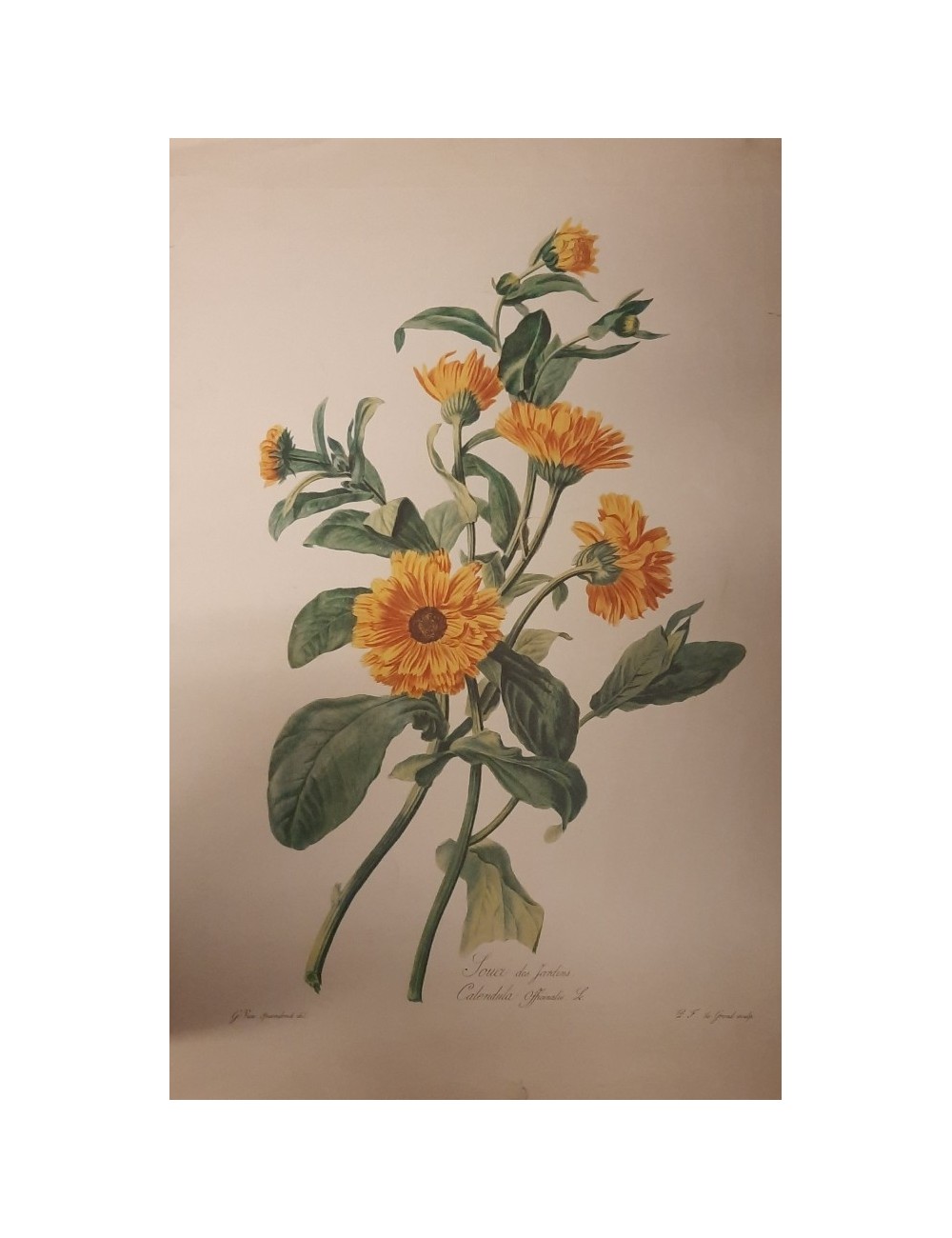 Stampa di fiori gialli senza cornice