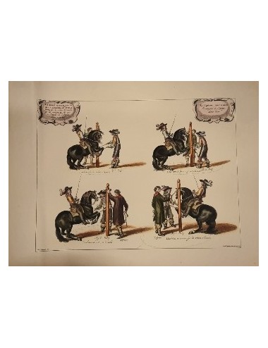 3 stampe "Horse Training" senza cornice