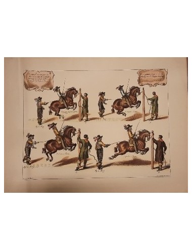 3 unframed 'Horse Training' prints