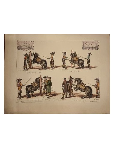 3 unframed 'Horse Training' prints