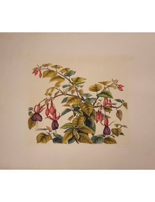 10 stampe - fiori -