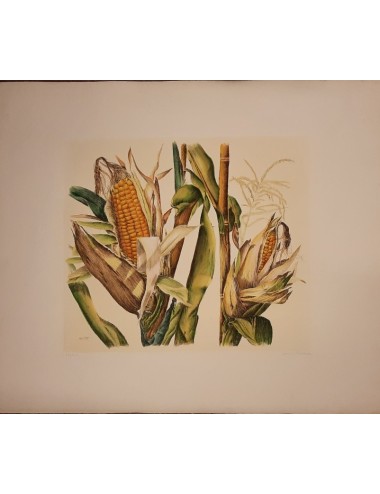 10 prints - flowers -