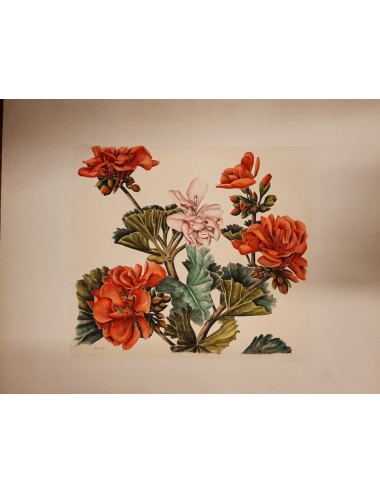 10 stampe - fiori -