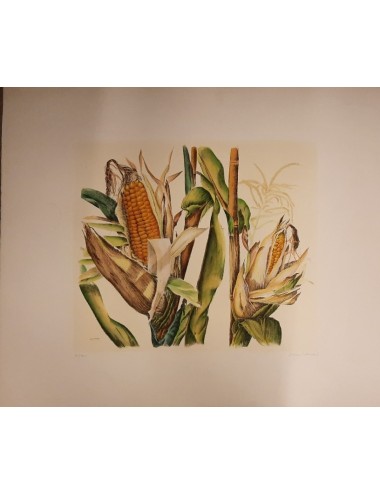 10 stampe - fiori -