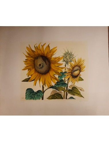10 stampe - fiori -