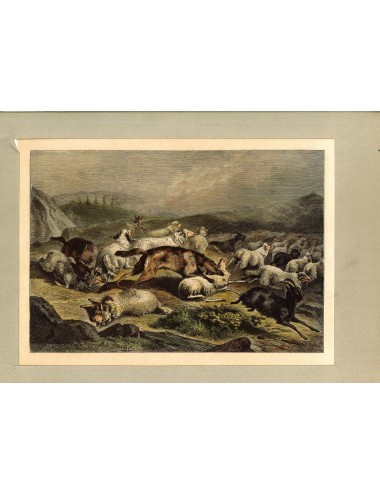 7 Unframed Hunting Prints