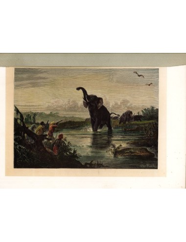 7 Unframed Hunting Prints