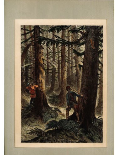 7 Unframed Hunting Prints