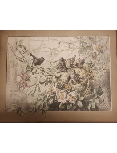 12 Prints -Flowers and Birds- unframed