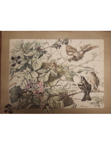 12 Prints -Flowers and Birds- unframed