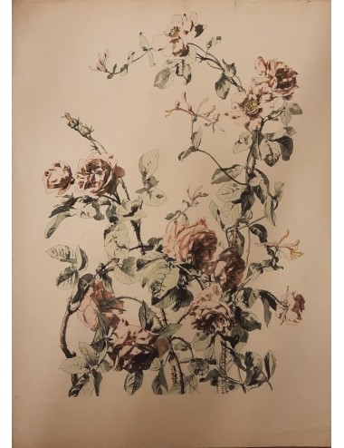 12 Prints -Flowers and Birds- unframed