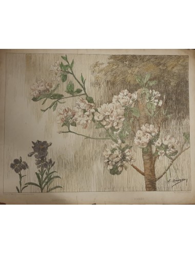 12 Stampe -Fiori e uccelli- senza cornice