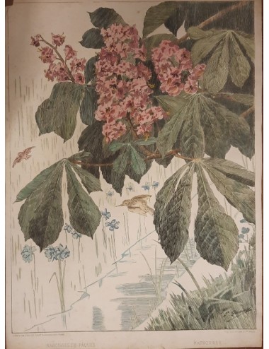 12 Prints -Flowers and Birds- unframed