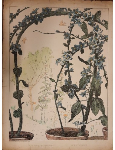12 Stampe -Fiori e uccelli- senza cornice