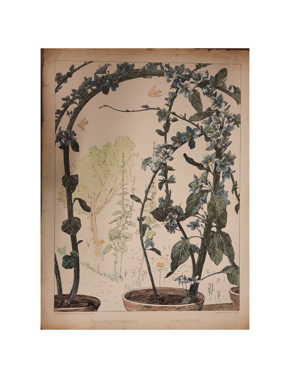 12 Stampe -Fiori e uccelli- senza cornice