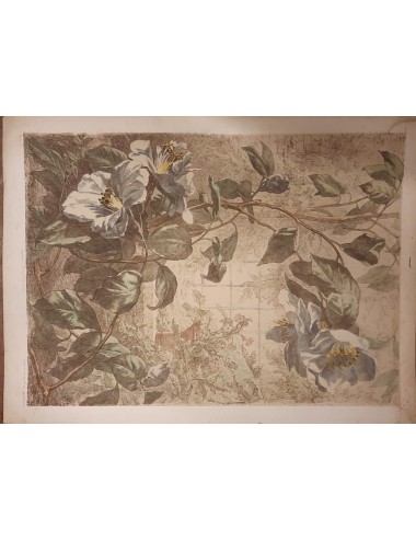 12 Stampe -Fiori e uccelli- senza cornice