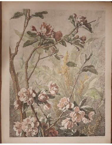 12 Prints -Flowers and Birds- unframed