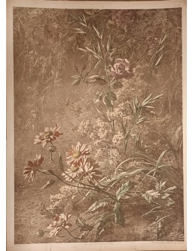 12 Prints -Flowers and Birds- unframed