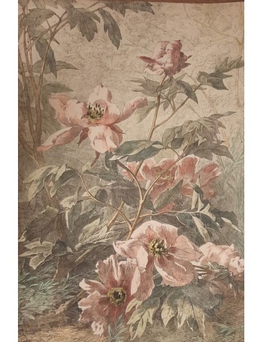 12 Stampe -Fiori e uccelli- senza cornice