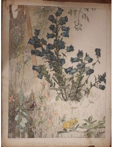 12 Stampe -Fiori e uccelli- senza cornice