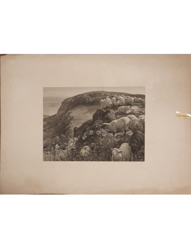 12 Miscellaneous unframed prints