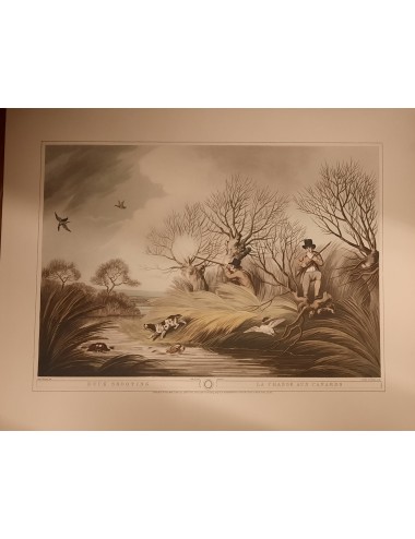 10 unframed 'hunting' prints