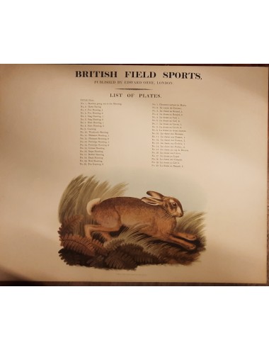 10 unframed 'hunting' prints
