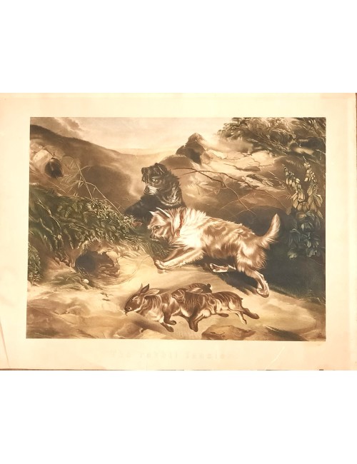 Stampe in bianco e nero