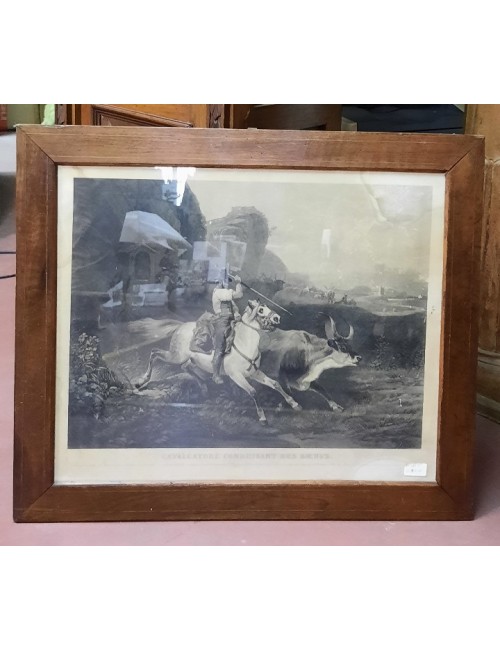 Black/white print walnut frame