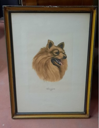 7 Dog Prints