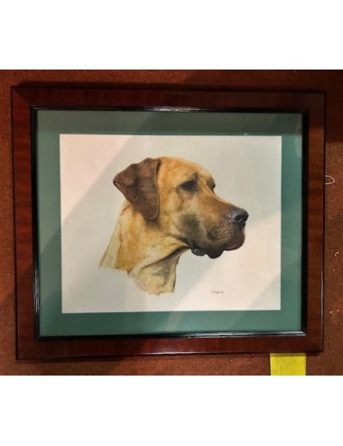 3 Unframed Dog Prints