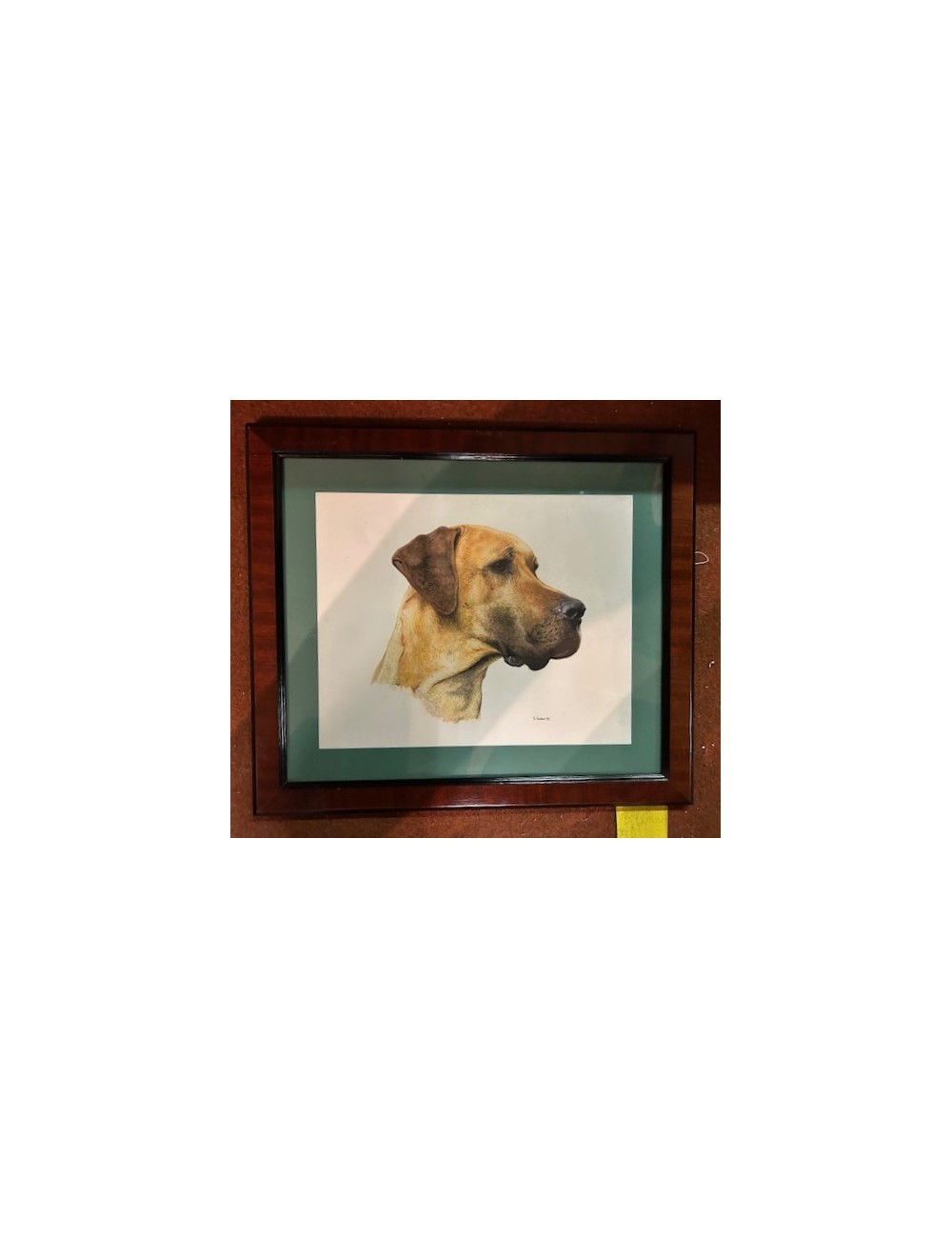 3 Stampe di cani senza cornice
