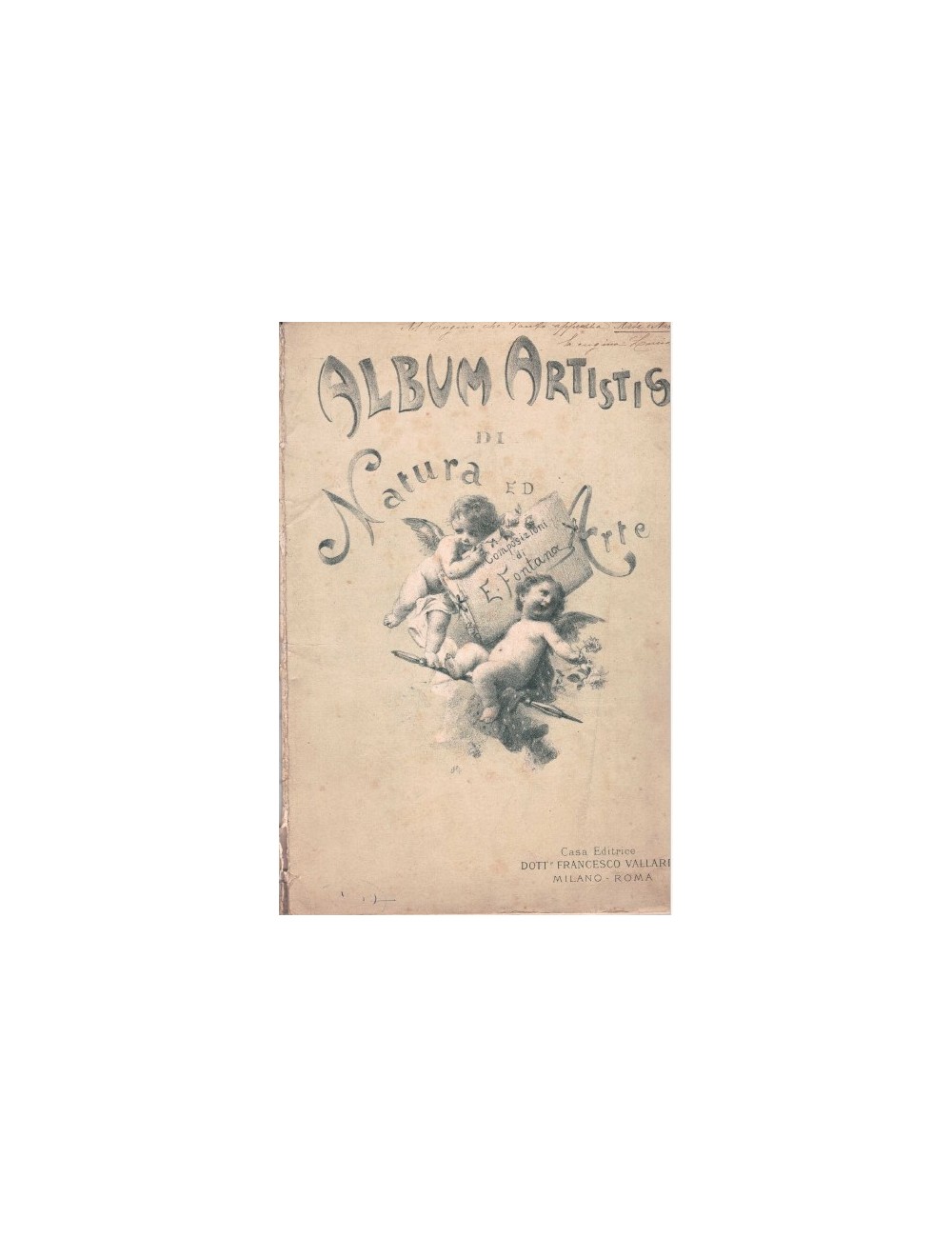18 Stampe animali
