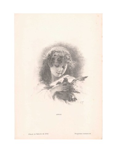 18 Stampe animali