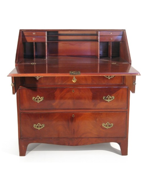 Mahogany flap - English