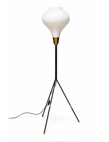 Lampada da terra in stile anni '50, caratterizzata da un design elegante e slanciato